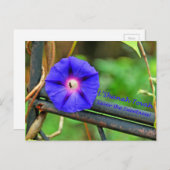 Cartes de Rosh Hashanah Cadeaux (Devant / Derrière)