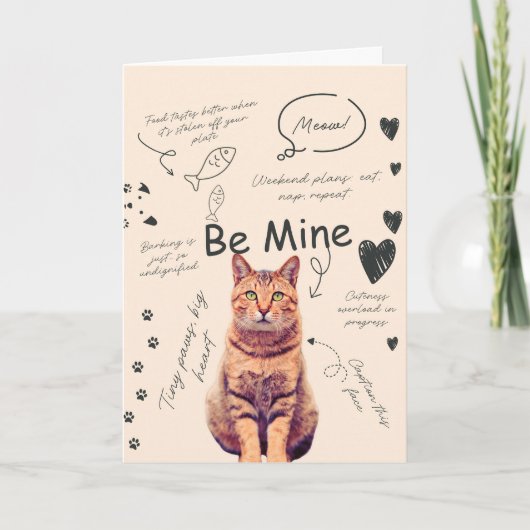 Cartes de Saint-Valentin drôles de chat (Devant)