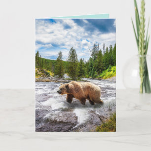 CARTES DE SALUT D'ANNIVERSAIRE DE L'ALASKA