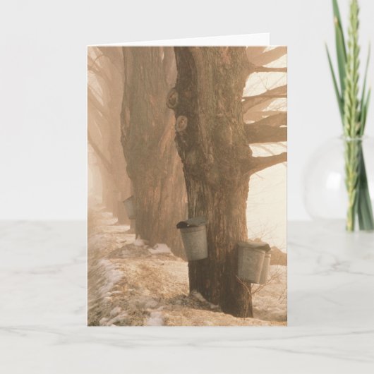 CARTES DE SALUTAGE SAP BUCKETS (Devant)