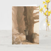 CARTES DE SALUTAGE SAP BUCKETS (Fleur jaune)