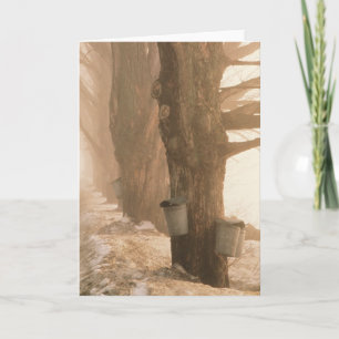 CARTES DE SALUTAGE SAP BUCKETS