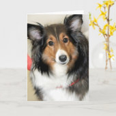 Cartes de salutation/note de chien de berger de (Fleur jaune)