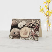 Cartes de Sanibel & Captiva Coquilles (Fleur jaune)