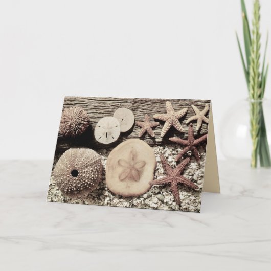 Cartes de Sanibel & Captiva Coquilles (Devant)