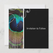 Cartes de sauvegarde de date de plume de paon (Dos)