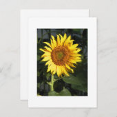 Cartes de sauvegarde de date Tournesol Jaune (Devant / Derrière)