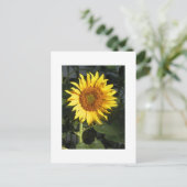 Cartes de sauvegarde de date Tournesol Jaune (Debout devant)