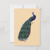 Cartes de sauvegarde vintage paon (Dos)