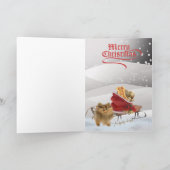Cartes de scène de neige de Noël de Pomeranian (Intérieur)
