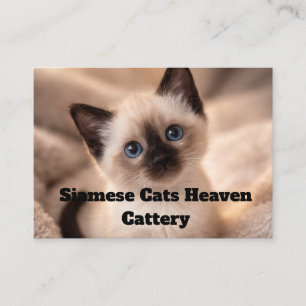 Cartes de Siamaisiens Élevage Cattery Personnalisa