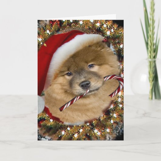 Cartes de Sucre de canne de Noël Chow Chow (Devant)