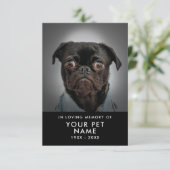 Cartes de Sympathie pour animal (Debout devant)