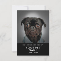 Cartes de Sympathie pour animal