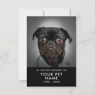 Cartes de Sympathie pour animal