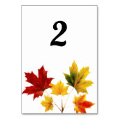 Cartes de table Feuilles d'érable Vintage (Dos)