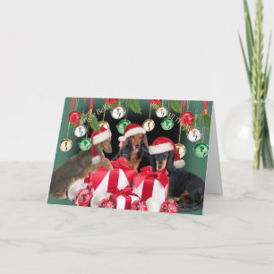 Cartes de tintements du carillon de teckel