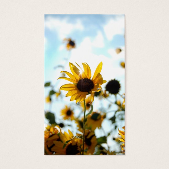Cartes de tournesol (Devant)