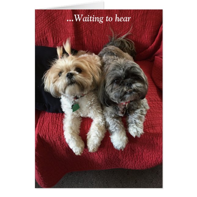 Cartes de tous les jours/ Grace & Gloire (Devant)