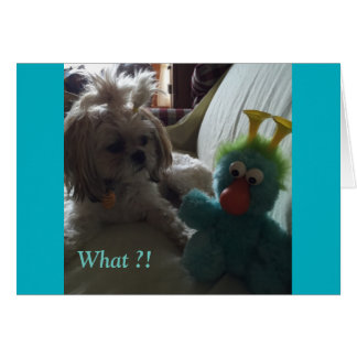 Cartes de tous les jours/ Grace & Gloire