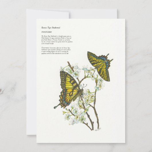 Cartes de vacances (Devant)