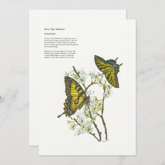 Cartes de vacances (Devant / Derrière)