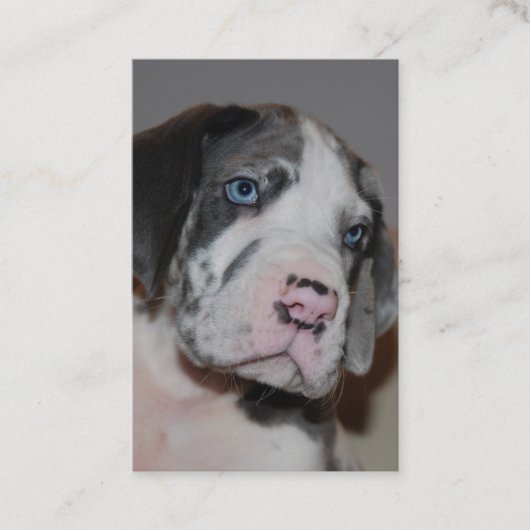 Cartes de visite (Devant)