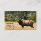 Cartes de visite (Dos)