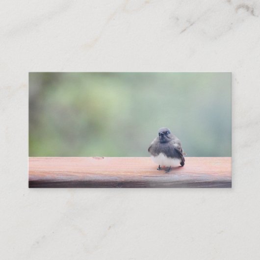 cartes de visite (Devant)