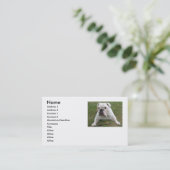 Cartes de visite anglais de bouledogue (Debout devant)
