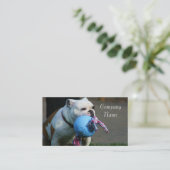 Cartes de visite anglais de bouledogue (Debout devant)