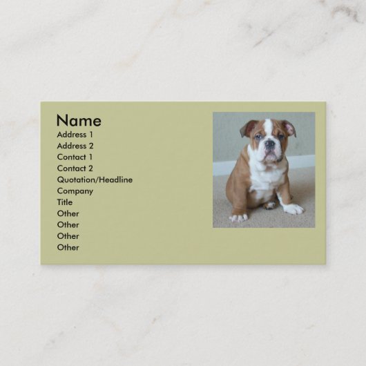 Cartes de visite anglais de chiot de bouledogue (Devant)