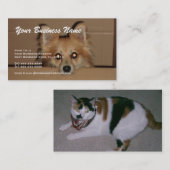 Cartes de visite animaux professionnels de (Devant / Derrière)