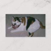 Cartes de visite animaux professionnels de (Dos)