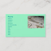 Cartes de visite Aqua Damselfly (Devant)