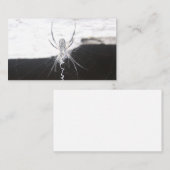Cartes de visite araignée (Devant / Derrière)