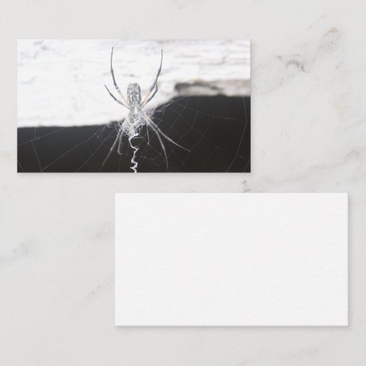 Cartes de visite araignées (Devant / Derrière)