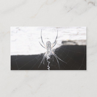Cartes de visite araignées