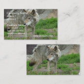 Cartes de visite attentifs de loup (Devant / Derrière)