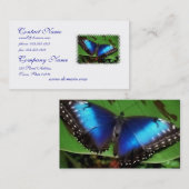 Cartes de visite bleus de papillon d'aile (Devant / Derrière)