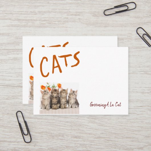 Cartes de visite, Cartes de visite de pattes de ch (Devant/Arrière en situation)