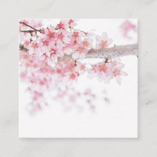  CARTES DE VISITE: CHERRY BLOSSOMS (Devant)