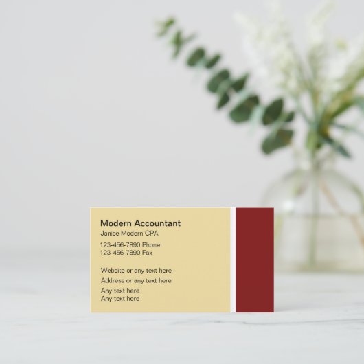 Cartes de visite comptables modernes (Debout devant)