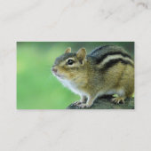 Cartes de visite curieux de tamia (Dos)