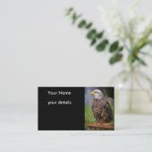 cartes de visite d'aigle chauve (Debout devant)