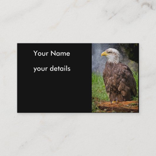 cartes de visite d'aigle chauve (Devant)