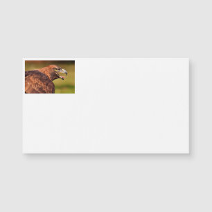 Cartes de visite d'aigle sauvage