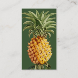 Cartes de visite d'ananas - Botanique Vintage