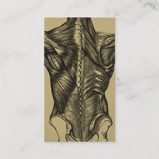 Cartes de visite d'anatomie vintage (Devant)