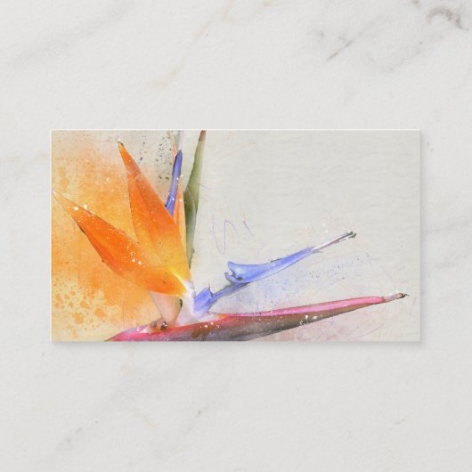 Cartes de visite d'aquarelle (Dos)